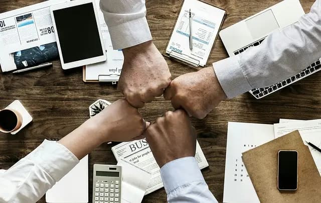 Cómo seleccionar el software de gestión ideal para tu empresa